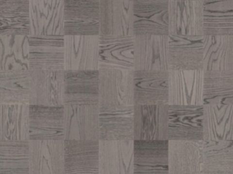 Tarkett - Lamine Parke - OAK Bronx